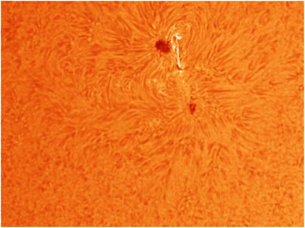 Sun Spot H-Alpha