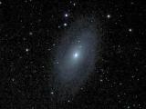 M 81 Bodes Nebula (NGC3031)