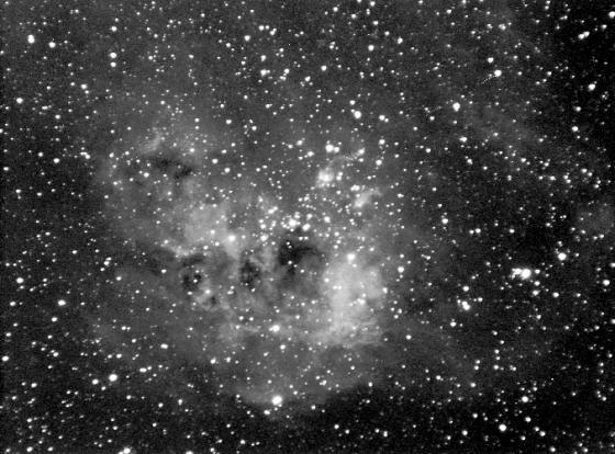 IC 410 Tadpole Nebula