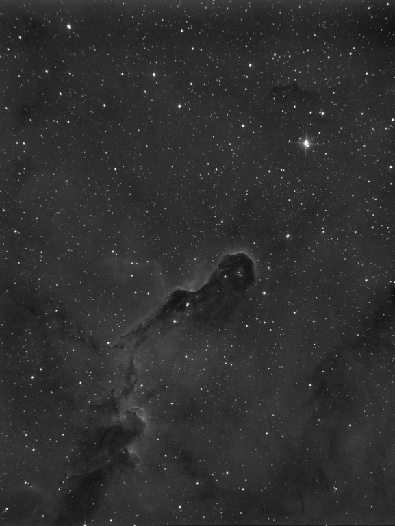 Elephant Trunk Nebula (IC1396A)